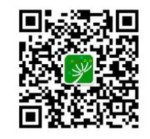 图片 4.jpg